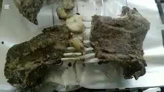 Ramadan preparation day 4: oven may buhat sara khana pakaya || kitchen deep cleaning start kar di