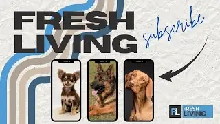 Year-Round Flea & Tick Protection for Pets