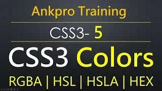 CSS3 5 - Colors in CSS | RGBA color value | HSL color value | HSLA color value | hex color value
