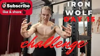iron wolf december challenge 2021🐺day 15 (200 pullups, 300 1 pumps, 300 legraises, 500 squats)