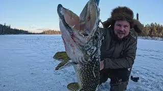 Tip-ups on First Ice: Landed a Trophy Fish! Unbelievable Catch on a Remote Lake