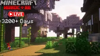 🌸Live🌸Day 3200+ Hardcore Decorating the Japanese City Wall!!
