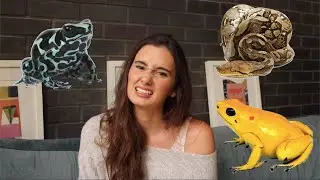 Venomous vs Poisonous Snakes !