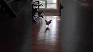 Я её так люблю! 🤩