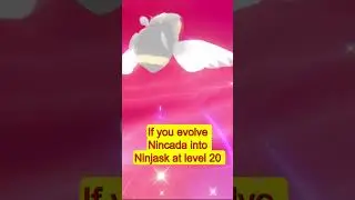 Did you know that in POK&Eacute;MON SWORD AND SHIELD...
