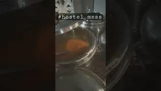indore girls hostel #trending #ytshorts #india #hostel #hostellife #hosteller #food  #hostelmemories