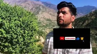 Mini vlog part _2 कैसा लगा |#viralvideo #trendingvideo #performance #couple #ytshortsvideo #funny |