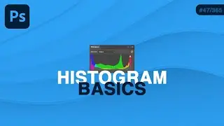 The Basics of the Histogram in Photoshop Explained