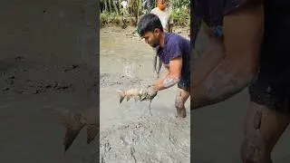 best amazing fishing video। Boro mach dhora video #shorts