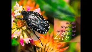 (296) Трейлер: Сергей Жариков - МИ-4: Буря равноденствий в стакане воды (Дек 2025)