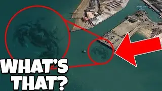 10 Mysterious Creatures Spotted On Google Earth
