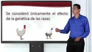 SUPUESTOS DEL ANÁLISIS DE VARIANZA (ANVA)