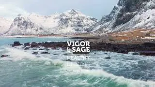 Vigor and Sage - Healthy Lifestyle for Dogs