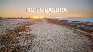 Los siete mundos de San Pedro del Pinatar: Playas y dunas en equilibrio