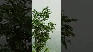 Ramdara Trek Mast