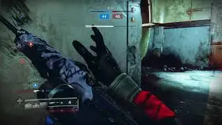 Adored and Motion to suppress setup rarest smg in Destiny 2