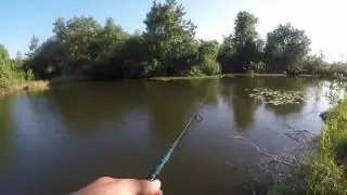 caught a huge bass and broke my rod!!!!!!!!!!!!!!!!!