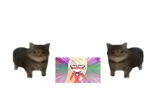 this is a Verbalase 50k meme