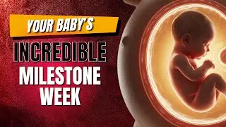 22 Weeks Pregnant: Your Baby Can Now SURVIVE Outside the Womb Complete Viability & Development Guide