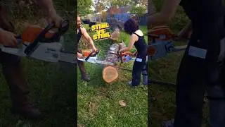 STIHL MS261 VS MS251 !!! #stihl #chainsaw #forestry #ms261 #ms251 #vs #powertools