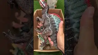 Dinosaur Jurassic World Toy In The Box ASMR Review