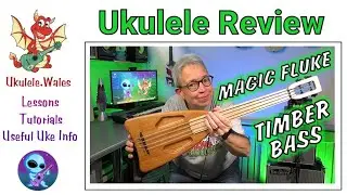 Magic Fluke Timber Bass Review With Sound Demos