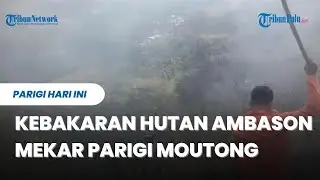 Kebakaran Hutan Ambason Mekar Parigi Moutong Hanguskan Sekitar 1 Hektare Kebun Warga