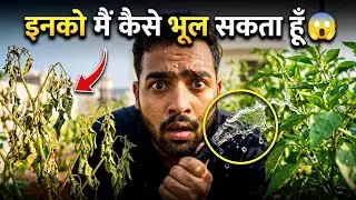 Inko Main Kaise Bhool Sakta Hu 😱 | Garden Plants Ko Paani Dena Bhool Gaya