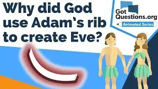 Why did God use Adam&rsquo;s rib to create Eve?