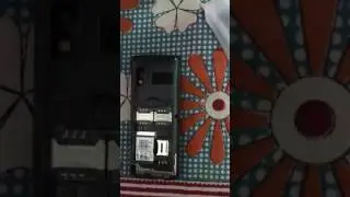 Intex Mobile