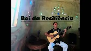 Boi da Resili&ecirc;ncia - Vini de Groove (Solo Acoustic Version)