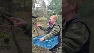 🎄Vianočn&eacute; kŕmenie v Nzoo Bojnice. #zoobojnice #enrichment