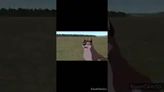 Balto in Train Rail Yard Simulator?