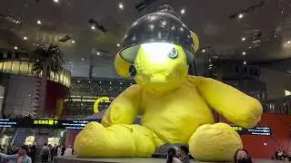 Explore Hamad International Airport in Doha | Qatar's Modern Travel Hub