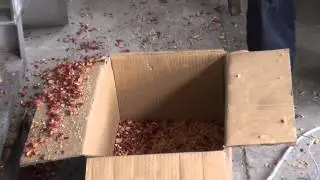 Nut crushing Machine