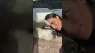 Saying Goodbye to My Dog 🐕💔