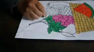 Color the picture of a nutritious fruit basket  5   Potion Castle