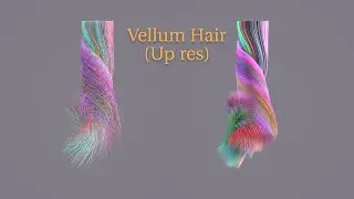Houdini Vellum hair (up res)