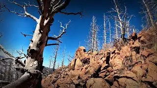 Blodgett Peak / Toughest Trail Hike In Colorado Springs #coloradosprings #coloradohiking