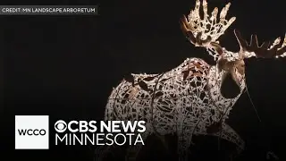 Minnesota Landscape Arboretum to offer family-friendly New Year's Eve event