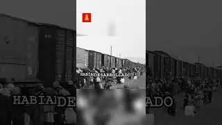 Ustacha: Brutalidad Innecesaria vs. M&eacute;todos Alemanes Eficientes #shorts
