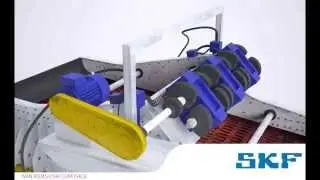 3D Sensorizado Harnero SKF/CHILE