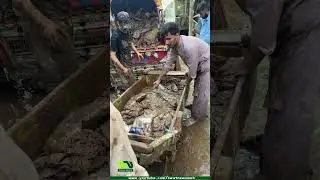 After flood in Mingora City