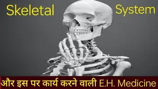 591.Skeletal systemऔर इस पर कार्य करने वाली E.H. Medicine 