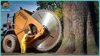 500 Fastest Big Chainsaw Cutting Tree Machines Skills | Tree Felling Climbing With Chainsaw