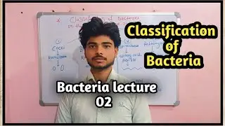 Classification of Bacteria 02 ll Microbiology 