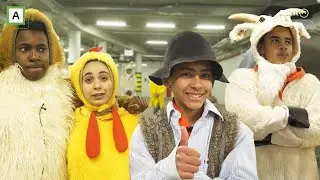 Superduellen - Hvem løser gåten med geita, reven og kyllingen først?