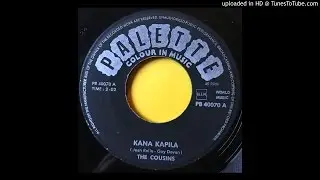 Wild Rocker 45 The Cousins -Kana Kapila -Palette ~great jiver!