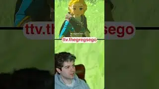Princess Zelda, Can You Please Elaborate?