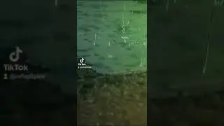 Цитаты